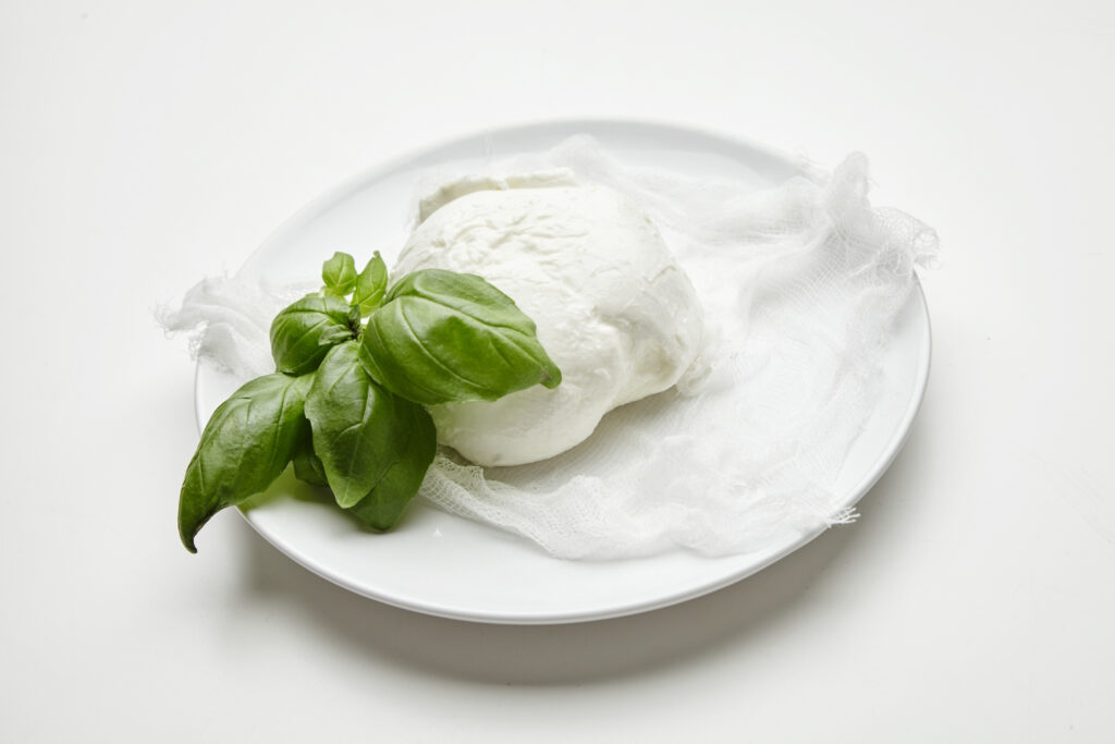 quale mozzarella usare per la pizza margherita